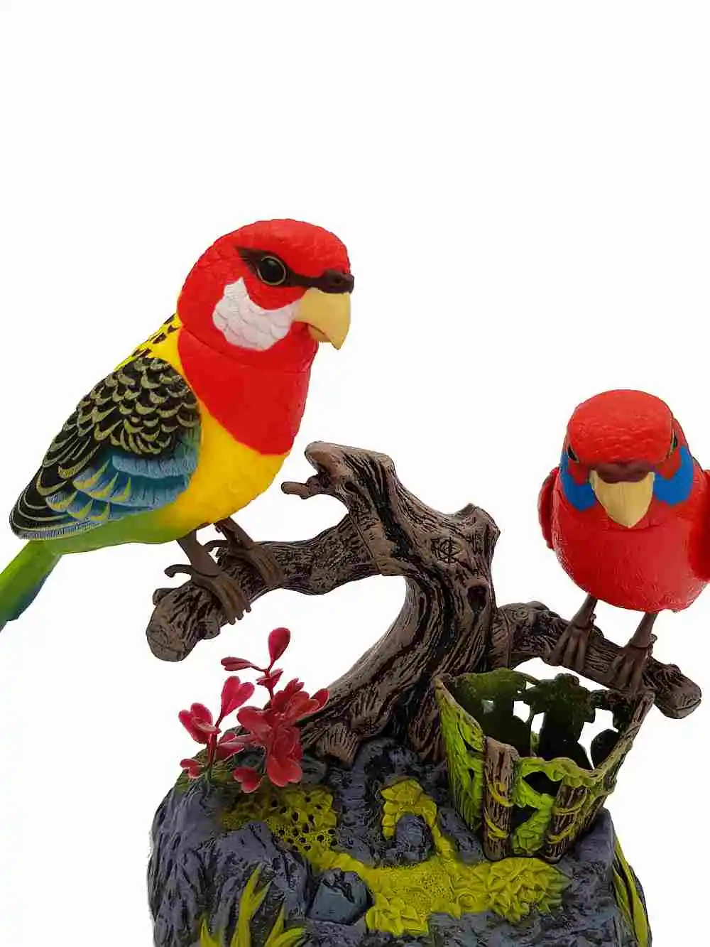 Ensemble Beautiful Birds