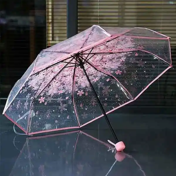 Transparent Umbrella